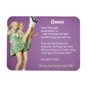 Gemini Magnet