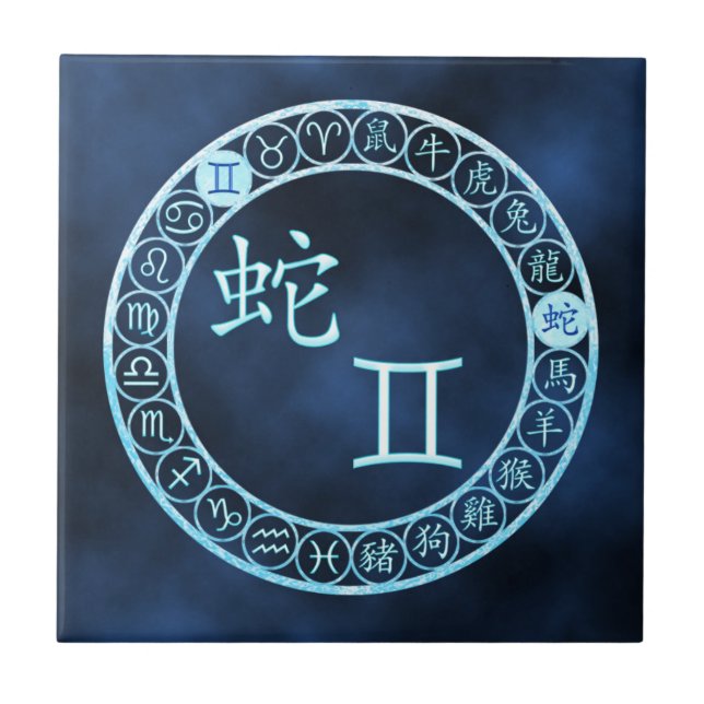 Gemini/orm Kakelplatta (Framsidan)