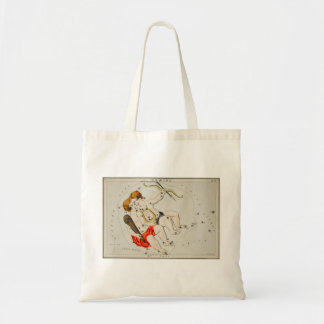 Gemini tobag tygkasse