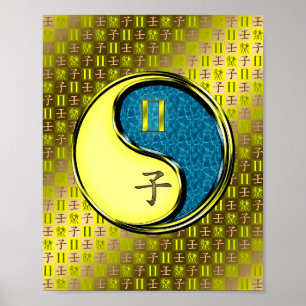 Gemini & Vatten Råtta Poster