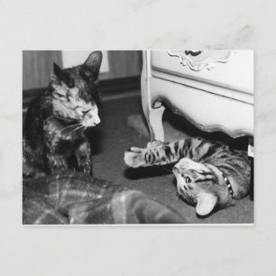 Gemini & Whisper Vykort