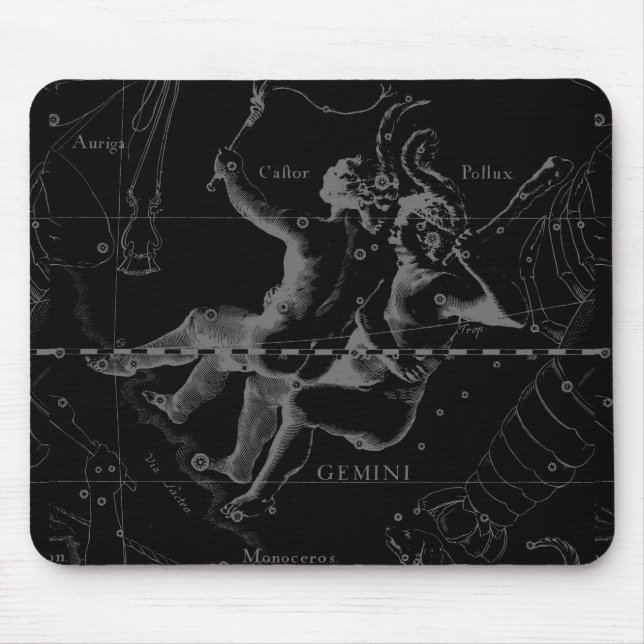 Gemini Zodiac Constellation Hevelius 1690 Musmatta (Framsidan)