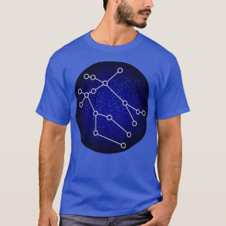 Gemini Zodiac Sign Gift T Shirt
