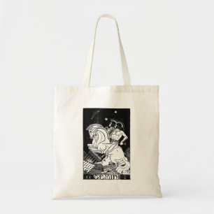 Gemini Zodiac-tecken Tygkasse