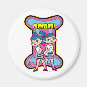 Geminimagnet Magnet