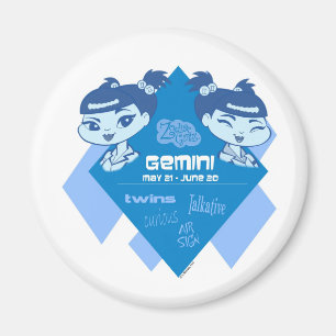 Geminimagnet Magnet