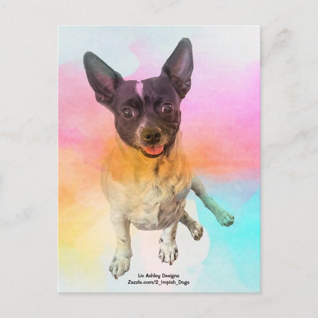 Gemma Disco vykort (Framsida)