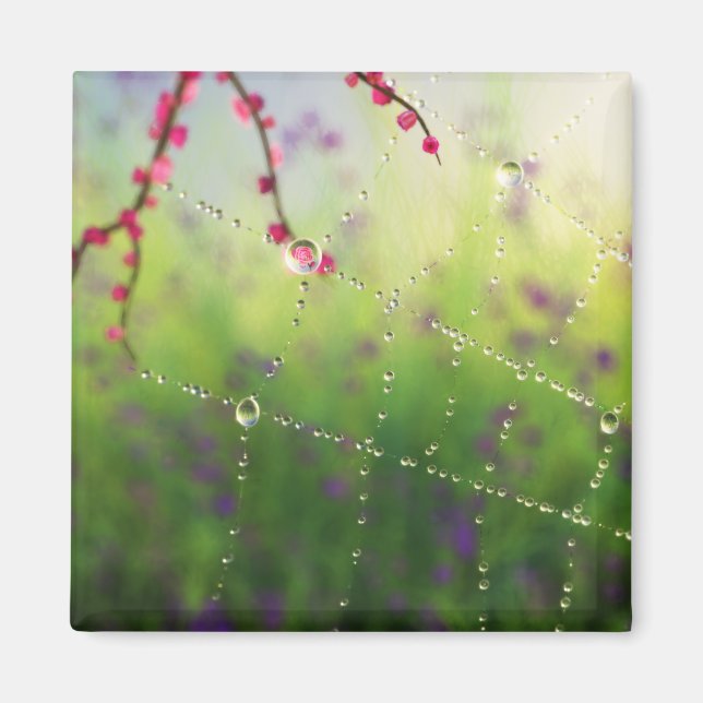 Gems av en Vår Morgonmagnet Magnet (Framsidan)