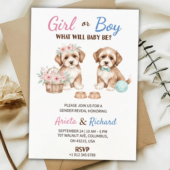 Gender reveal invitation featuring two puppies inbjudningar (Skapare uppladdad)