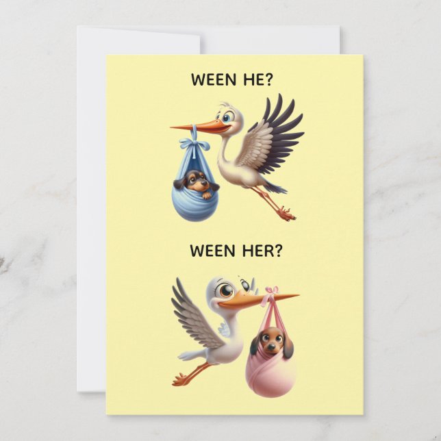 GENDER REVEAL PARTY INBJUDNINGAR (Framsida)