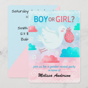Gender Reveal Party Julkort