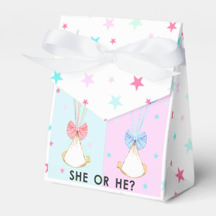 Gender Reveal Party Presentaskar