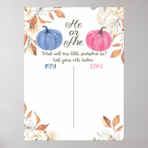 Gender Uppvisning av röststyrelsen för  Rosa och f Poster