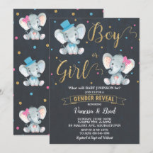 Gender Visa Elephant Baby Gender Reveal Party