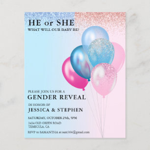 Gender Visa Rosa Blue Balloons Glitter budget