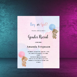 Genderna Budget visar nalle rosa blue baby