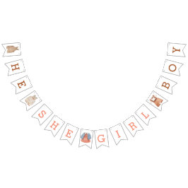 Genderna Reveal banderoll Vimplar