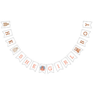 Genderna Reveal banderoll Vimplar