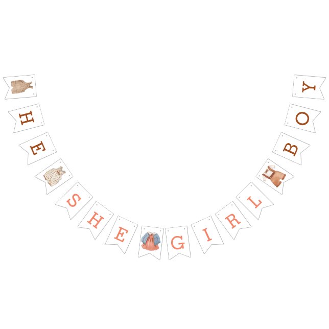 Genderna Reveal banderoll Vimplar (Alla)