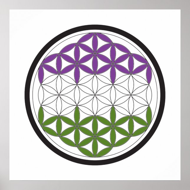 genderQueer helig-cirklar Poster (Framsidan)