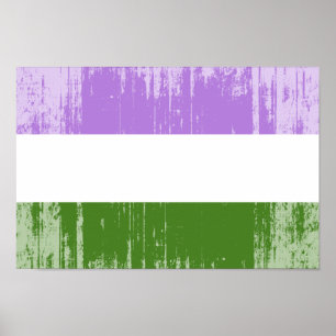 Genderqueer Pride Flagga Poster