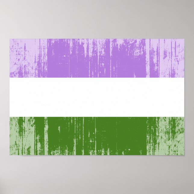 Genderqueer Pride Flagga Poster (Framsidan)