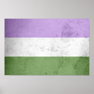 Genderqueer Pride Flagga Poster