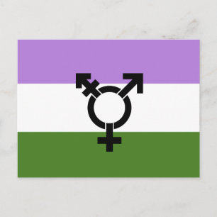 Genderqueer Pride Flagga Vykort