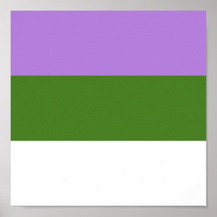 GENDERQUEER-PRIDE POSTER