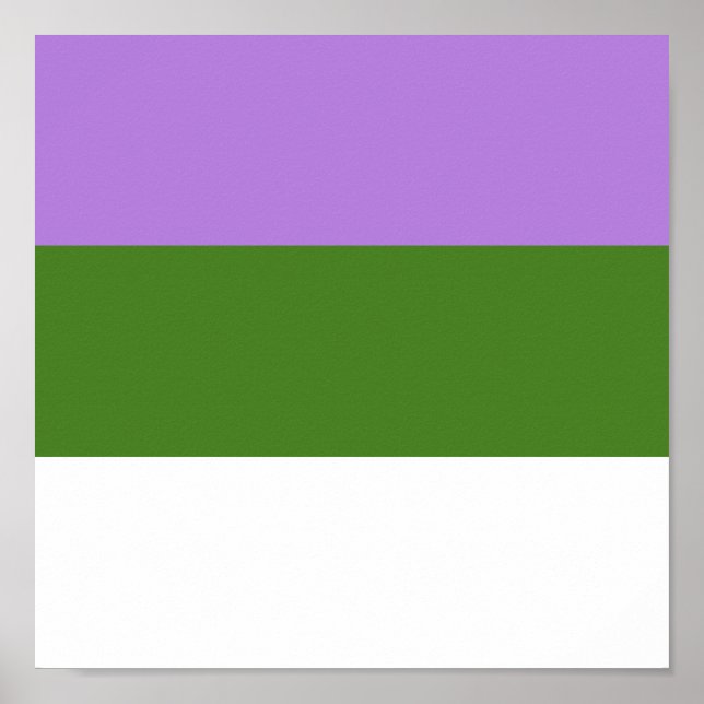 GENDERQUEER-PRIDE POSTER (Framsidan)