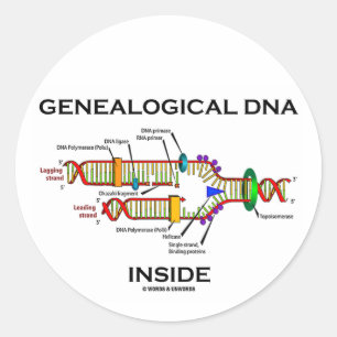 Genealogical DNA Inside (DNA-replikering) Runt Klistermärke