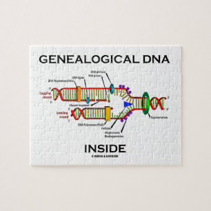Genealogisk DNA-insida (genealoginställningen) Pussel
