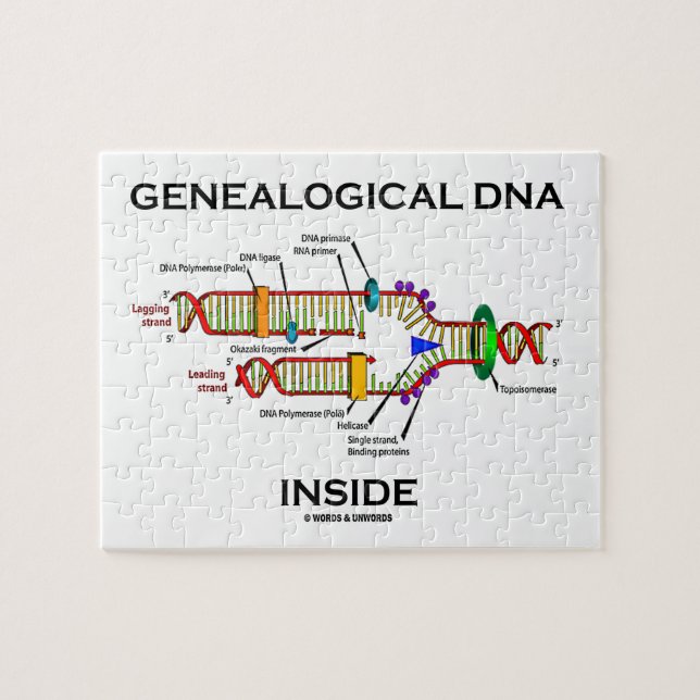 Genealogisk DNA-insida (genealoginställningen) Pussel (Horisontell)
