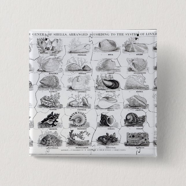 Genera av snäckajigsawen, pub. vid W. Edwards Knapp (Framsida)