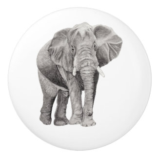 General av soldaten knopp