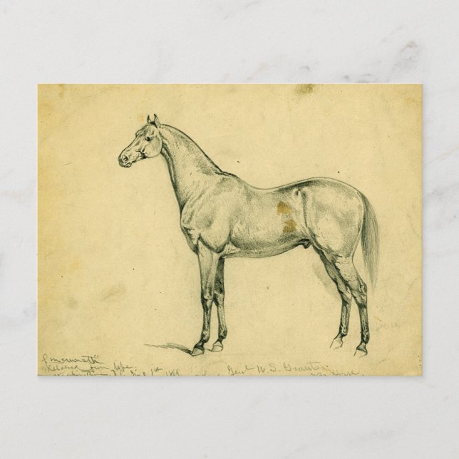 General Grant's Krig Horse Vykort (Framsida)