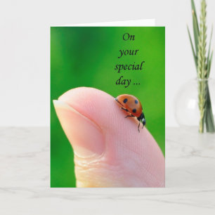 General Grattis på födelsedagen Ladybug Greeting C Kort