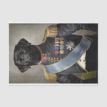General Murphy, svart labrador i militär uniform