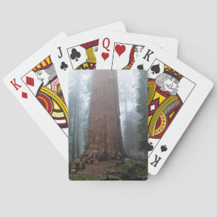 General Sherman Träd, Sequoia, CA Casinokort