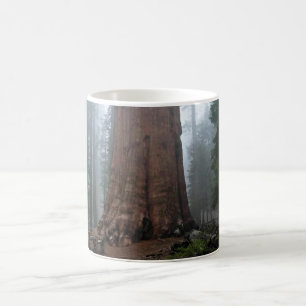 General Sherman Träd, Sequoia, CA Kaffemugg