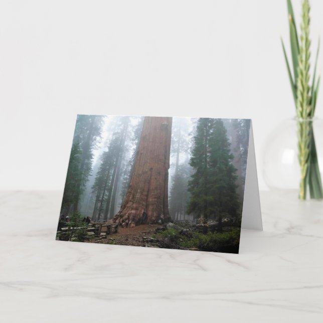 General Sherman Träd, Sequoia, CA Kort (Framsida)