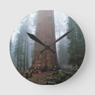 General Sherman Träd, Sequoia, CA Rund Klocka