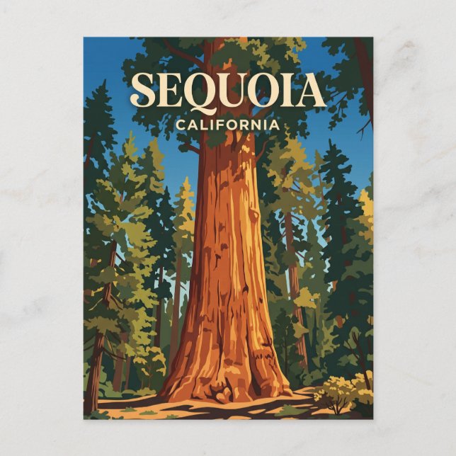 General Sherman Tree, Sequoia National Park USA Vykort (Framsida)