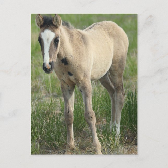 Generation Vykort (Framsida)