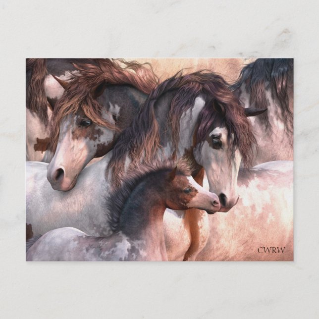 Generation vykort (Framsida)