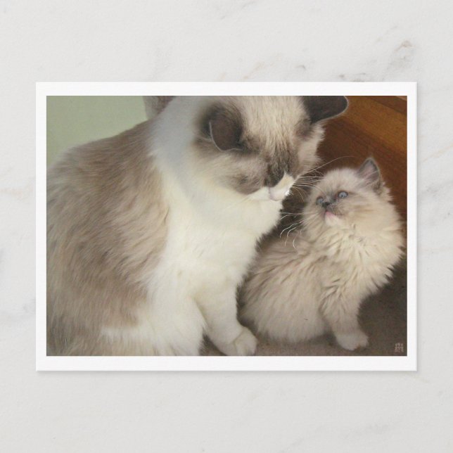 Generation Vykort (Framsida)