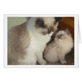 Generationer Hälsningskort