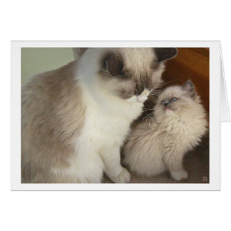 Generationer Hälsningskort