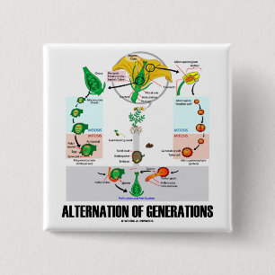 Generationsväxling (blommaliv cyklar), knapp