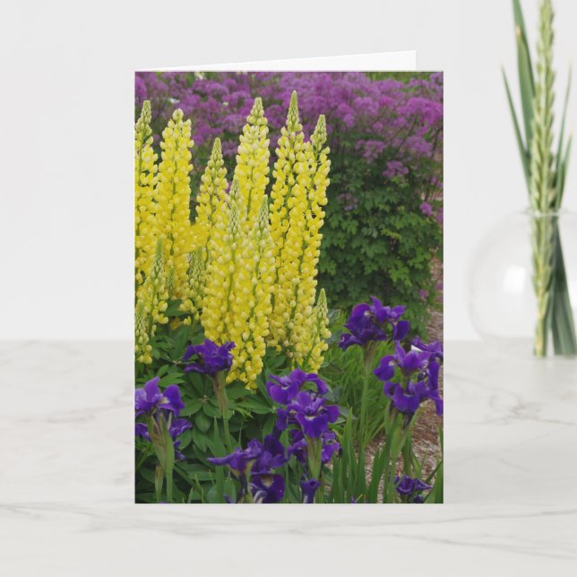 Generell födelsedag kort (Framsida)